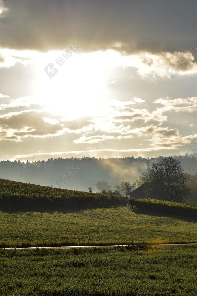 秋季 景观 雾 天空 云 金色的秋天 秋天的颜色 性质 树