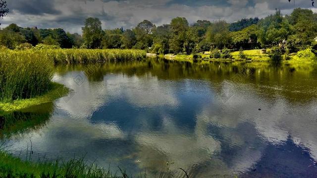 景观湿地湖水蓝天白云绿色植物背景图片