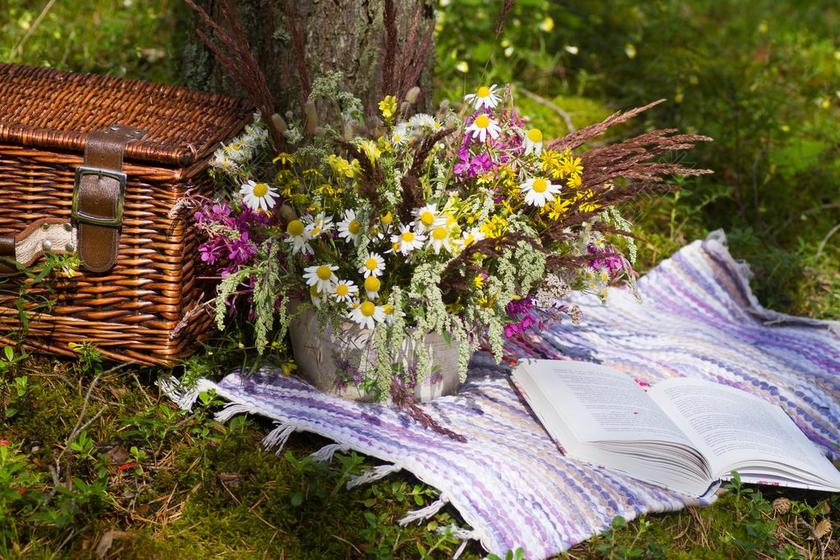 书 鲜花 森林 花束 花园 纸 装饰 着色 花的 野餐