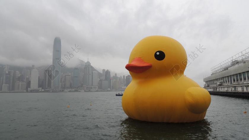 香港 维多利亚港 橡皮鸭 HONG 亚洲 城市 天际线