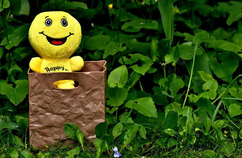 卖 出售 讨价还价 提供 高兴 快乐 喜悦 向前看 储存