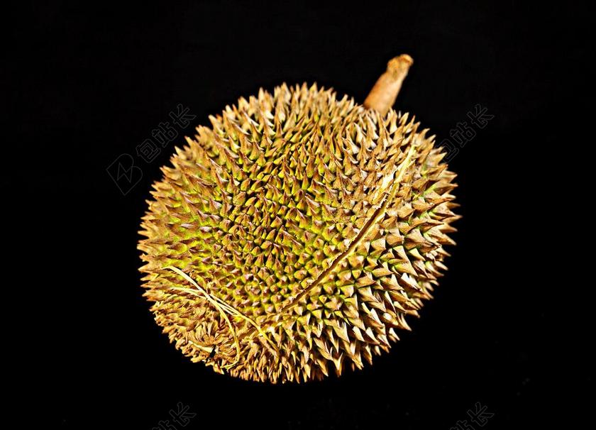 榴莲水果 国王的水果 棘手的水果 热带 美味 整个水果 马来西亚