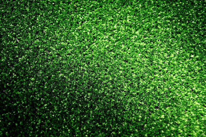 人造草坪 塑料 绿色 美丽 假