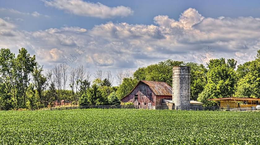谷仓 乡村 烤房 俄亥俄州 数字艺术 农村 景区 国家 风景
