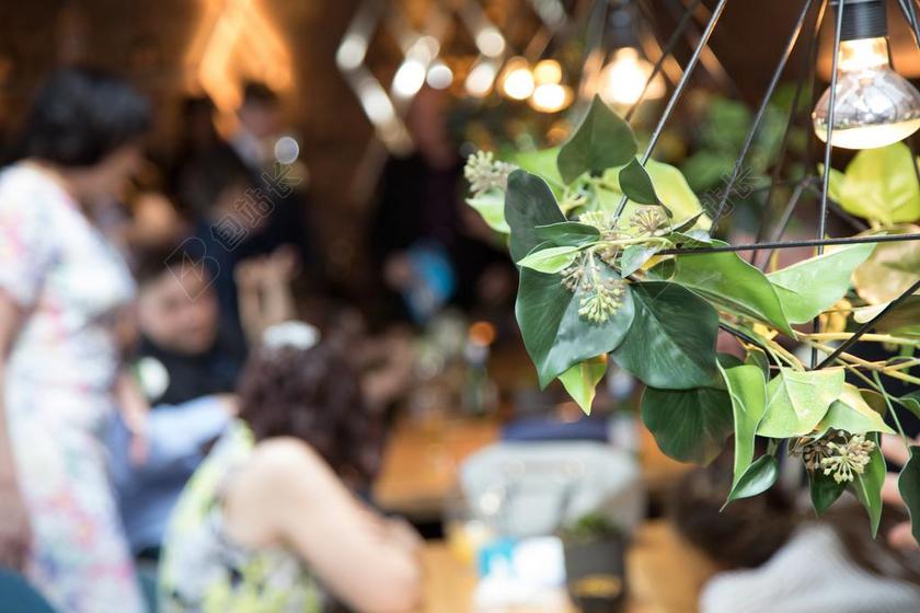 婚宴 家庭 照明 长丝 灯泡 灯丝灯泡 植物 装潢 装修