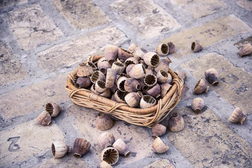 罂粟籽 罂粟 种子 自然 鸦片 草本植物 植物 花 头