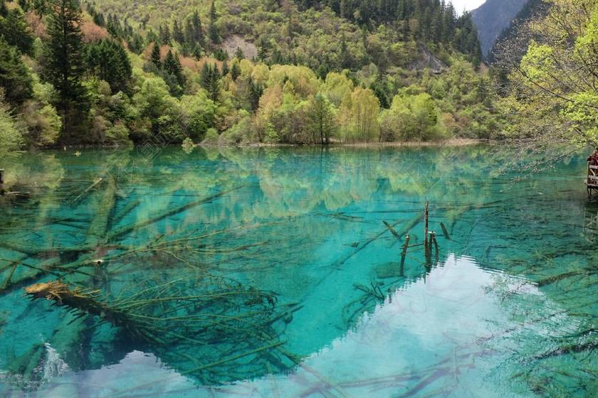 九寨沟 LAKE 四川 中国 风景
