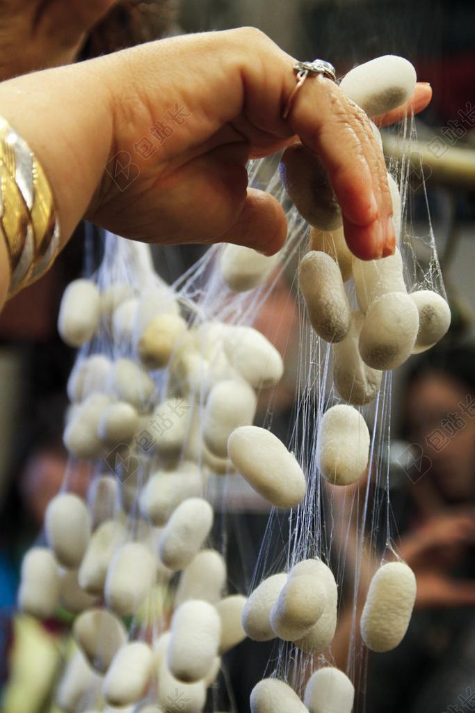 蚕 茧 丝绸 制造 传统的 有机 纺织 进程 业 微妙