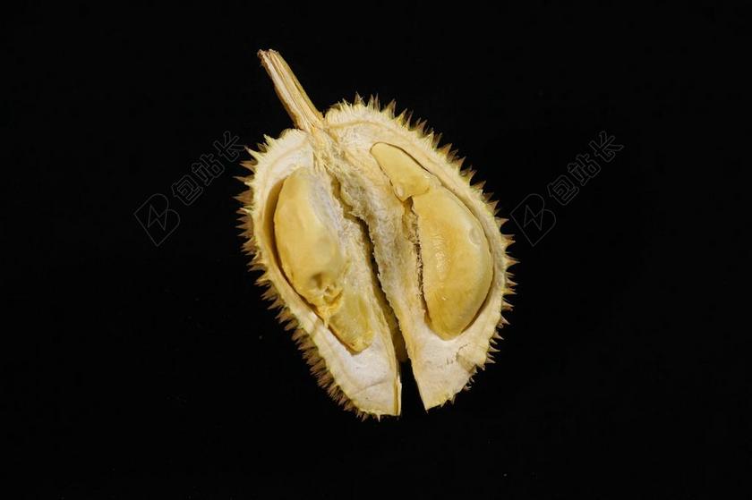 榴莲水果 国王的水果 热带 美味 棘手的水果 马来西亚