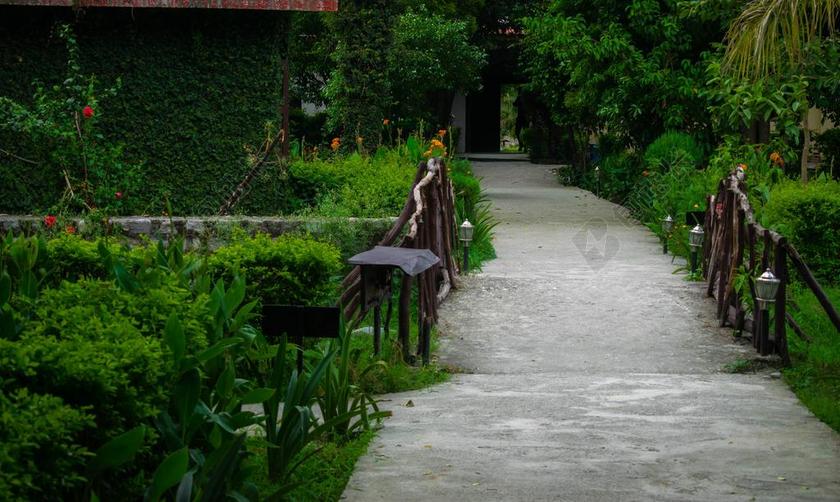 酒店 度假村 自然 假期 夏天 度假 水 旅行 热带 豪华