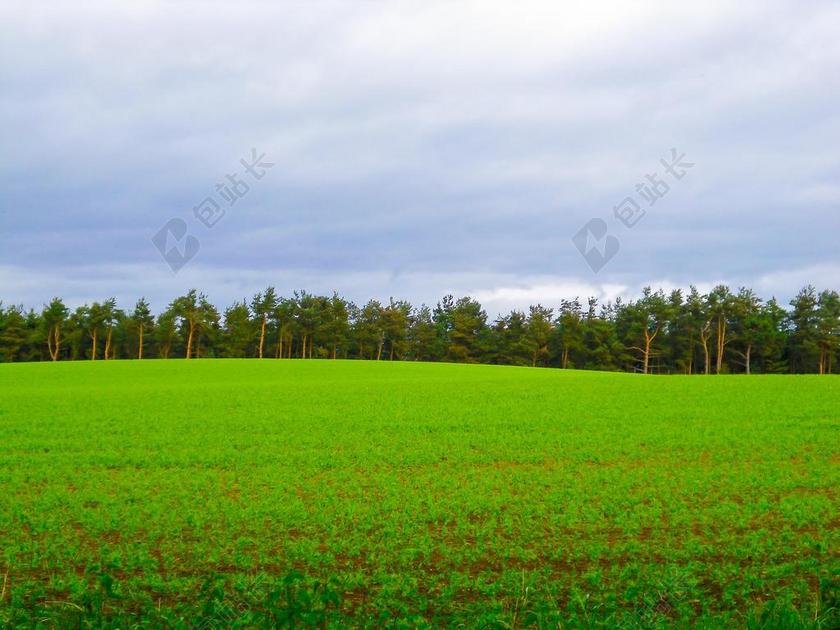 农场唯美农田凯尔德苏格兰背景图片