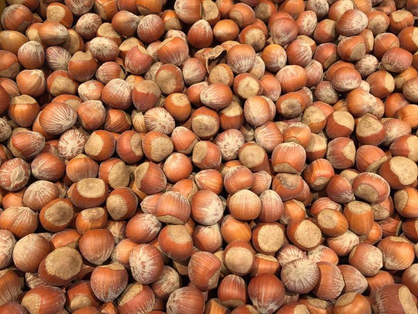 榛子 坚果 食品 健康 成分 种子 小吃 素 有机 果壳