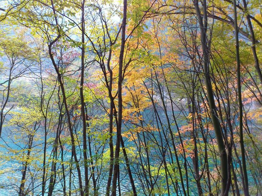 旅游清新九寨沟色彩背景图片