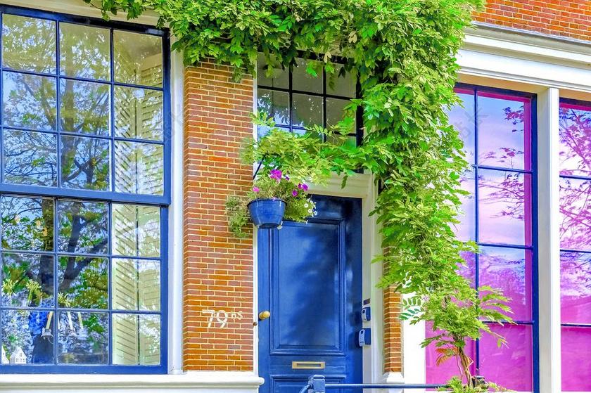 首页 房子 立面 砖墙 蓝门 植物 多彩 阿姆斯特丹 荷兰