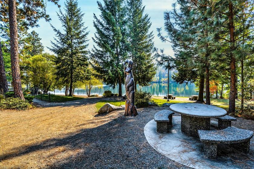 公园 野餐 雕像 熊 河 农村 乡村 国家 表 伍兹