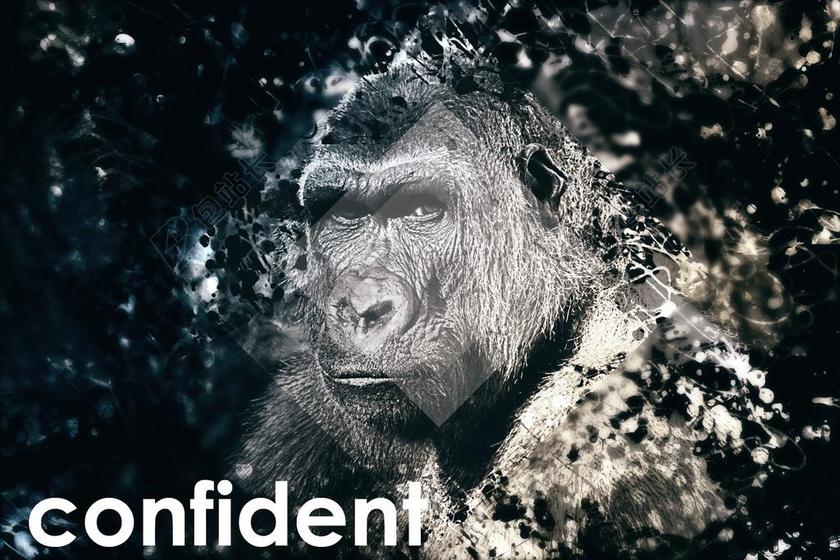 有信心 自信 大猩猩 PHOTOSHOP 数码艺术 合成