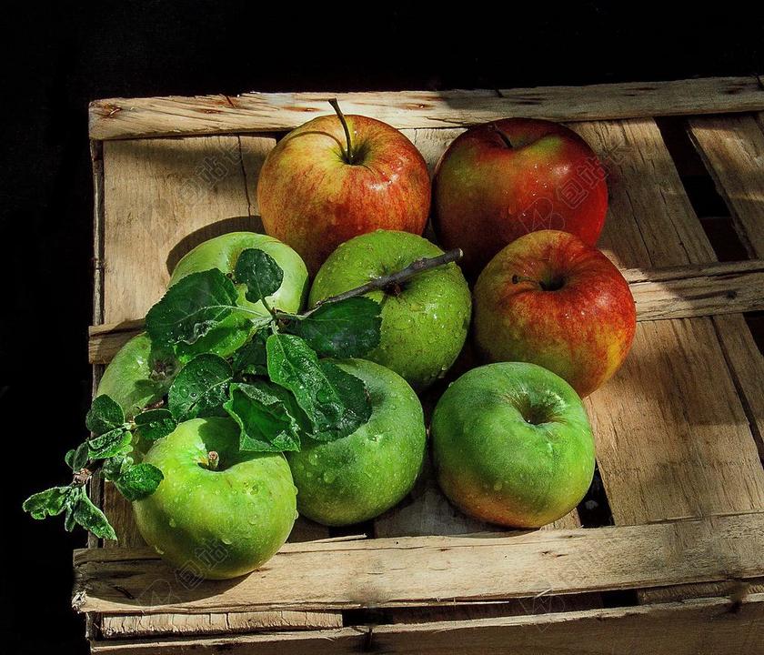 静物 苹果 框 枝