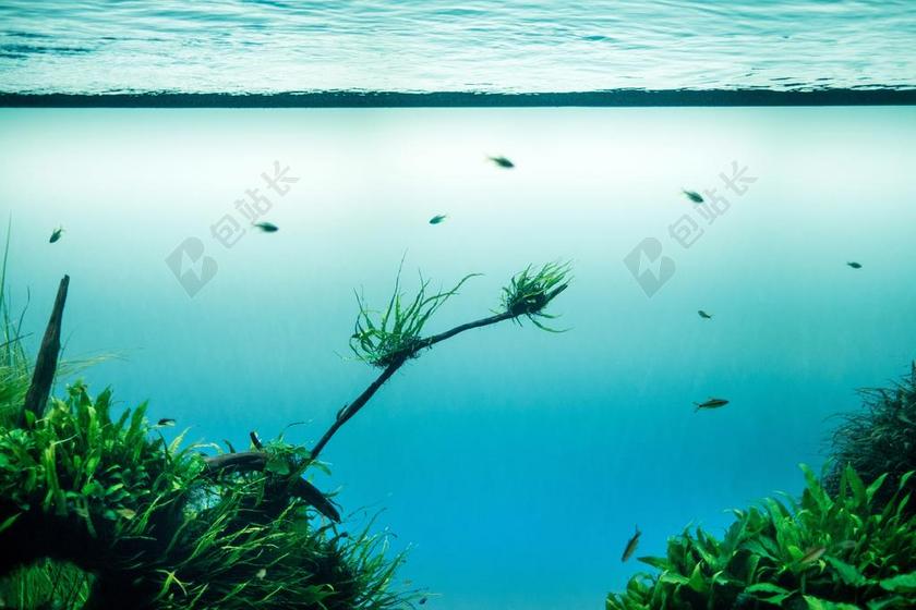 自然海洋景色背景图片
