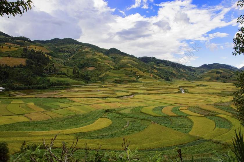 露台 米饭 日落 越南 奠边 东南亚 米