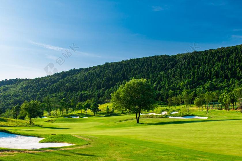 旅游自然户外高尔夫背景图片