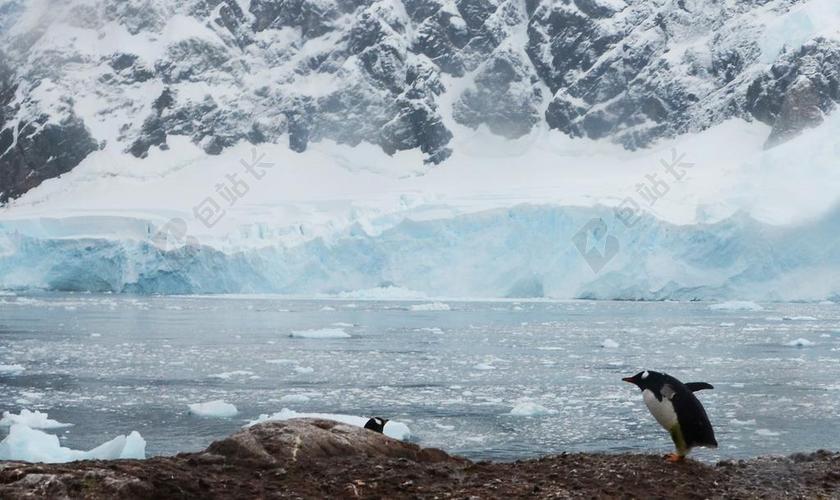 南极洲 企鹅 冰山