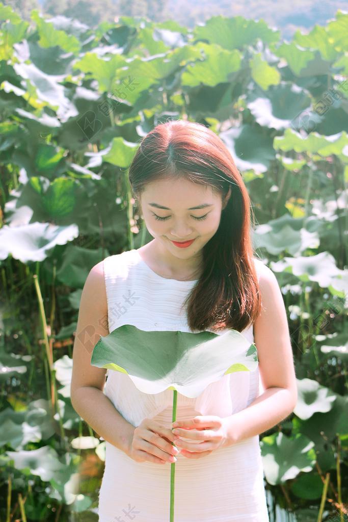 古典 荷花 美女