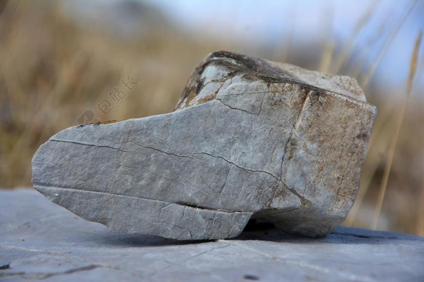 肯尼迪 石头 宏 纹理 岩石 背景 组成 详细 模式 惊人