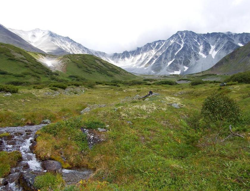 山 山地高原 山地马戏团 野营 性质 景观 高度 夏季 旅游