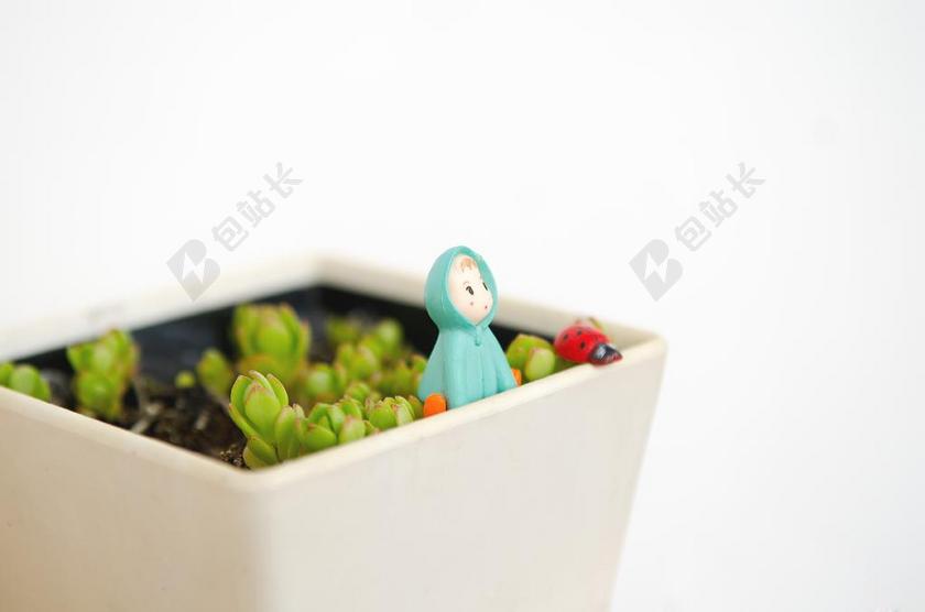 彩色植物可爱盆里面的多肉和小雨人摆饰盆栽绿植装饰背景图片
