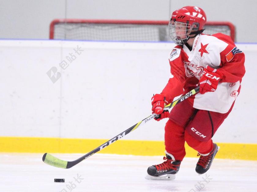 曲棍球 斯拉维亚 溜冰者 曲棍球运动员 冬天 冬季运动 乐趣