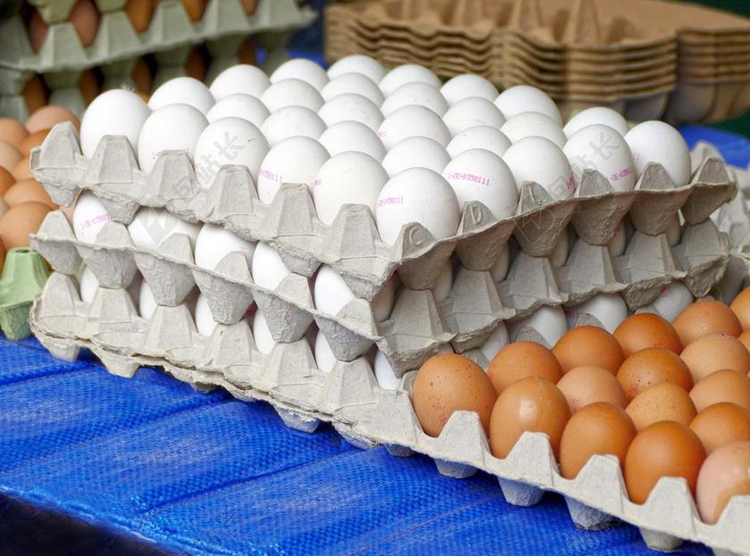 蛋 鸡蛋 鸡蛋盒 很多鸡蛋 鸡蛋包装 褐壳蛋 天然产物 市场