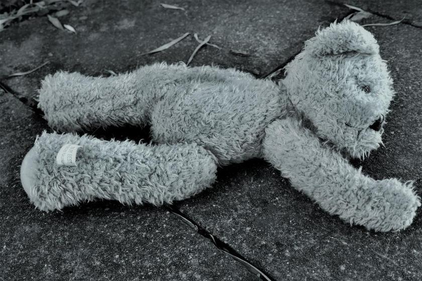 泰迪熊 玩具熊 玩具 毛绒动物 毛绒玩具