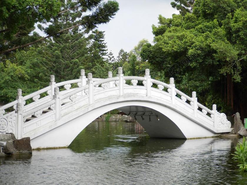 桥 台湾 公园 池 自然 水 中国