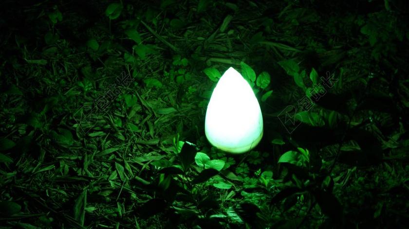 旅游唯美户外的竹青背景图片