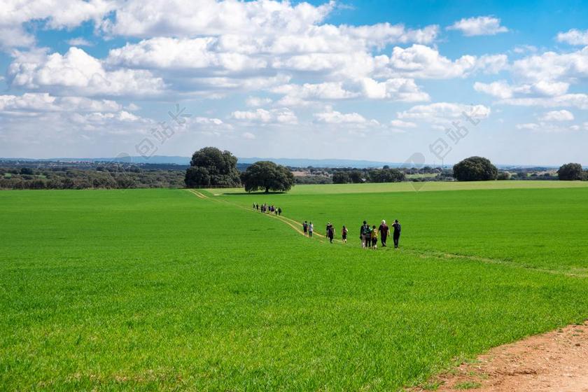 徒步旅行 自然 马德里 西班牙 树 天空 绿色