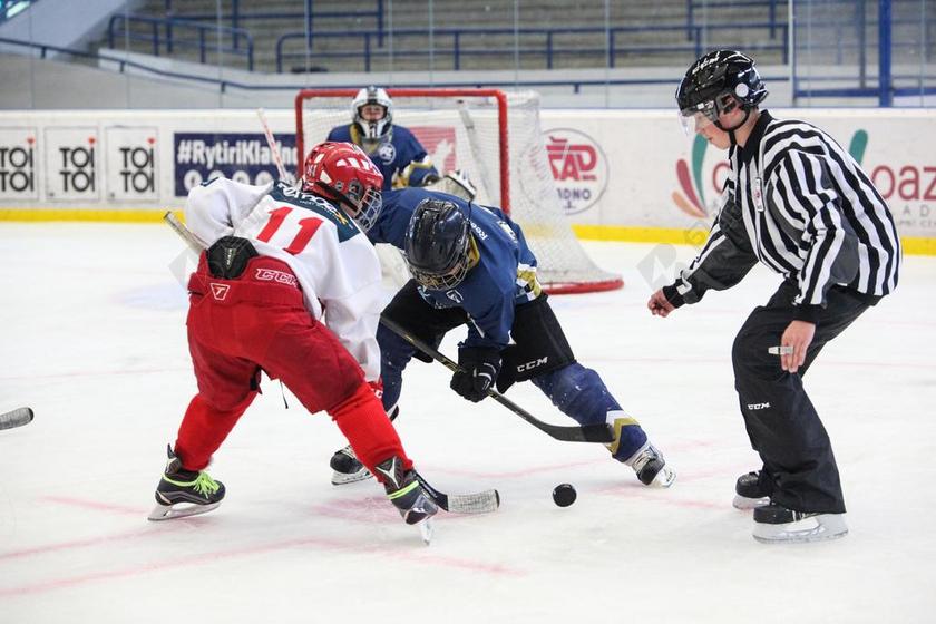 曲棍球 斯拉维亚 溜冰者 曲棍球运动员 冬天 冬季运动 乐趣