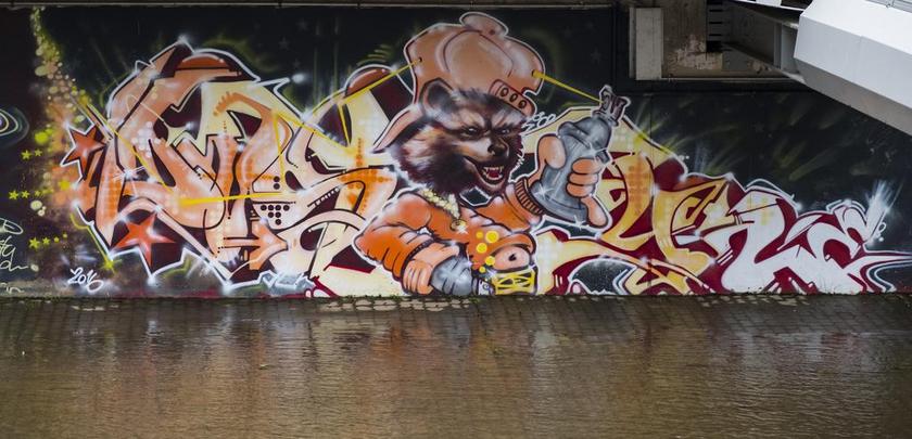 艺术 涂鸦 墙 HAUSWAND 丰富多彩 街头艺术 壁画