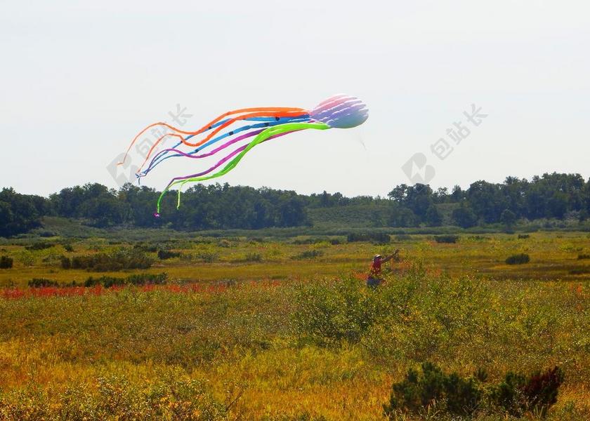苔原自然飞行的风筝背景图片