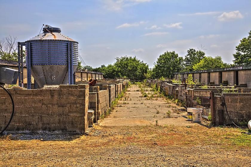 猪场 谷仓 烤房 乡村 艺术 数字艺术 纹理 俄亥俄州 农村