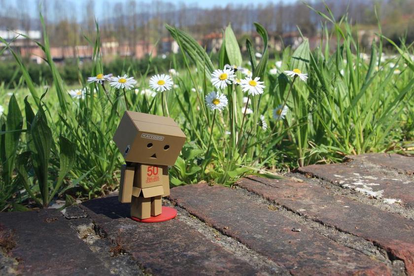 阿楞 纸盒人 忧郁 迷茫