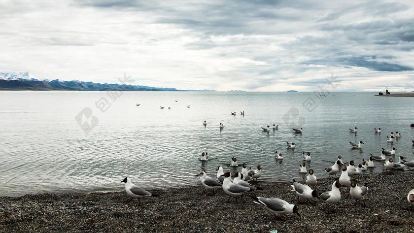 风景 西藏 青藏高原