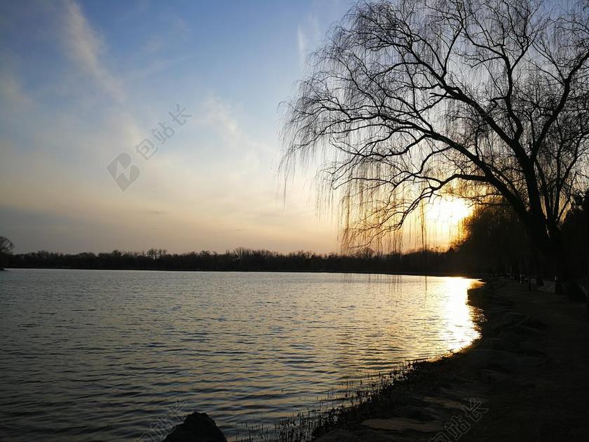 湖面 夕阳 杨柳