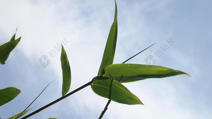 天空清新的柱子背景图片