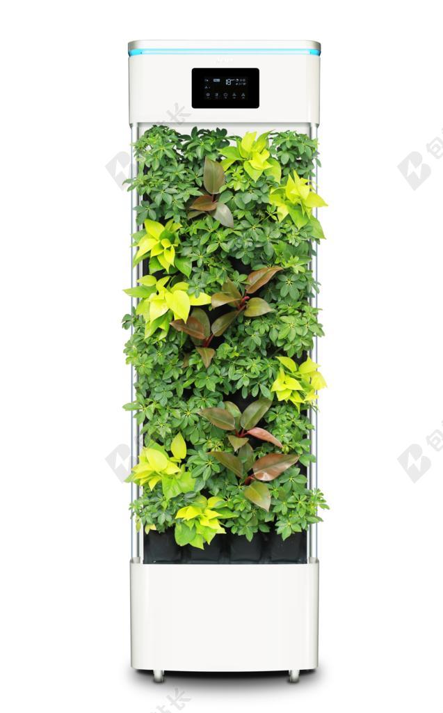 智能植物净化器 空气净化器 植物