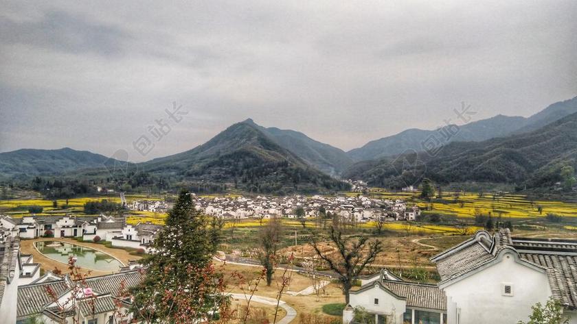 卢村 油菜花 安徽