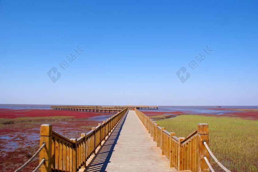 对称 红绿色系 翅碱蓬 盘锦 红海滩