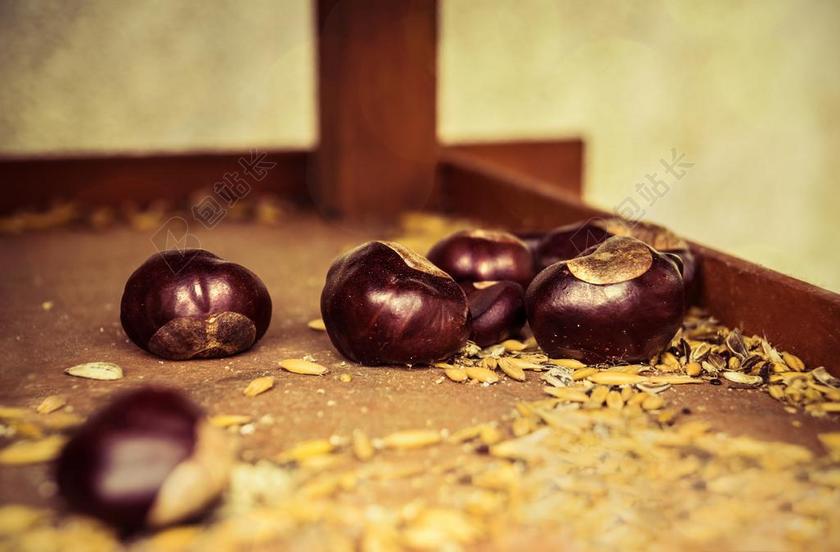 餐饮清新秋天的板栗背景图片