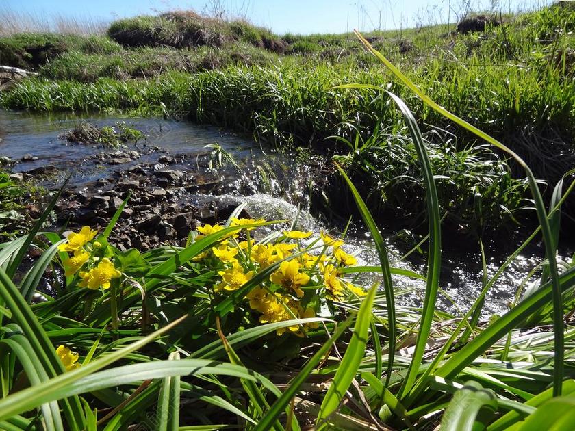 大自然 天空 太阳 夏 海滩 美丽 漂亮 日落 日出 蓝色