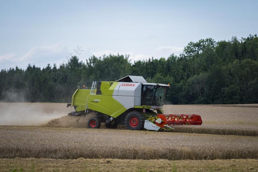 联合收割机 收获 收割机 农业 谷物 麦田 农业机械 耕地