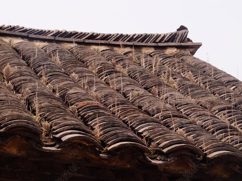 瓦片 屋顶 草